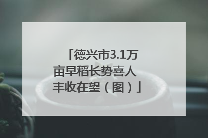 德兴市3.1万亩早稻长势喜人 丰收在望（图）