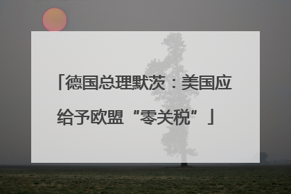 德国总理默茨：美国应给予欧盟“零关税”