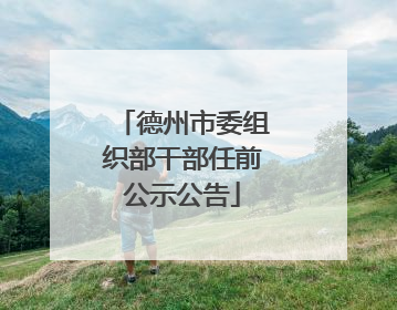 德州市委组织部干部任前公示公告