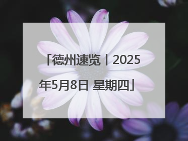 德州速览丨2025年5月8日 星期四