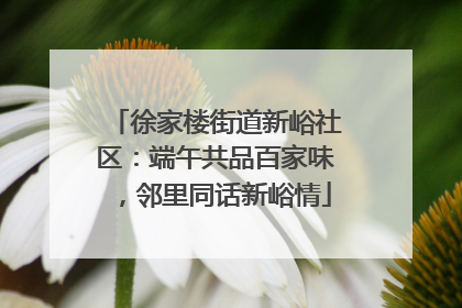 徐家楼街道新峪社区：端午共品百家味，邻里同话新峪情