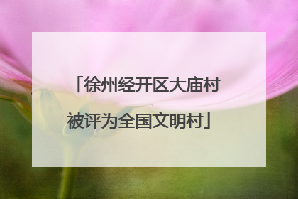 徐州经开区大庙村被评为全国文明村