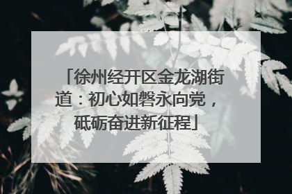 徐州经开区金龙湖街道：初心如磐永向党，砥砺奋进新征程