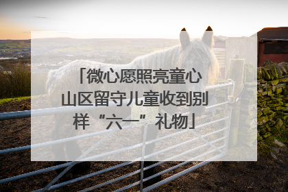 微心愿照亮童心 山区留守儿童收到别样“六一”礼物