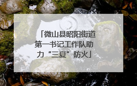 微山县昭阳街道第一书记工作队助力“三夏”防火