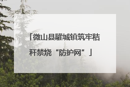 微山县驩城镇筑牢秸秆禁烧“防护网”