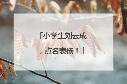 小学生刘云成，点名表扬！