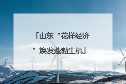 山东“花样经济”焕发蓬勃生机