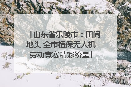 山东省乐陵市：田间地头 全市植保无人机劳动竞赛精彩纷呈