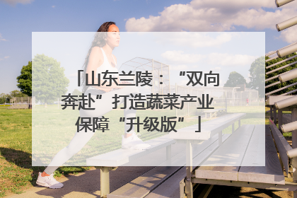山东兰陵：“双向奔赴”打造蔬菜产业保障“升级版”