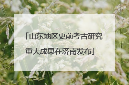 山东地区史前考古研究重大成果在济南发布