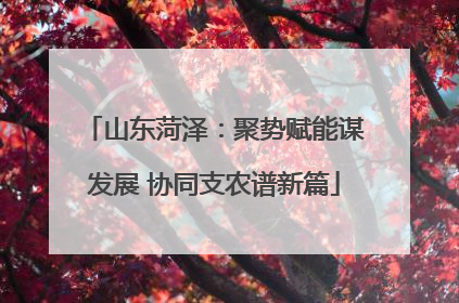 山东菏泽：聚势赋能谋发展 协同支农谱新篇