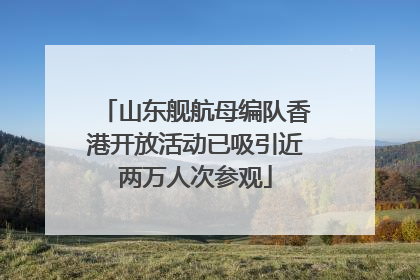 山东舰航母编队香港开放活动已吸引近两万人次参观
