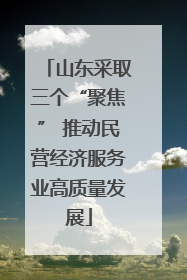 山东采取三个“聚焦” 推动民营经济服务业高质量发展