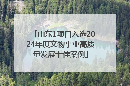 山东1项目入选2024年度文物事业高质量发展十佳案例