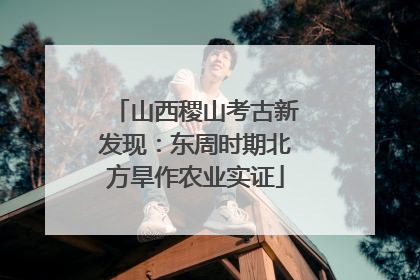 山西稷山考古新发现：东周时期北方旱作农业实证