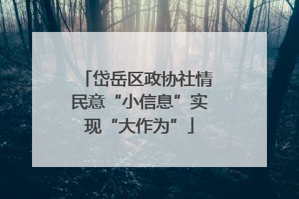 岱岳区政协社情民意“小信息”实现“大作为”