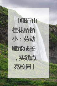 峨眉山桂花桥镇小：劳动赋能成长，实践点亮校园