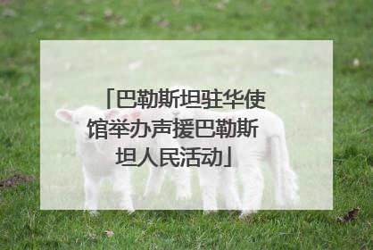 巴勒斯坦驻华使馆举办声援巴勒斯坦人民活动