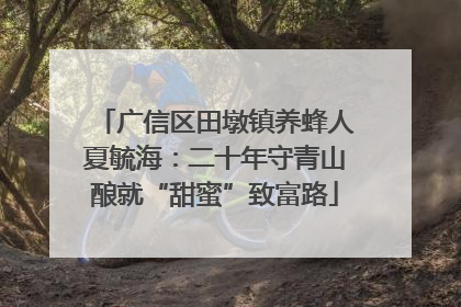 广信区田墩镇养蜂人夏毓海：二十年守青山酿就“甜蜜”致富路