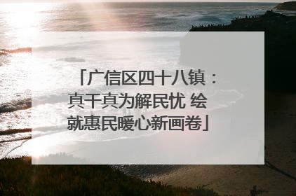 广信区四十八镇：真干真为解民忧 绘就惠民暖心新画卷