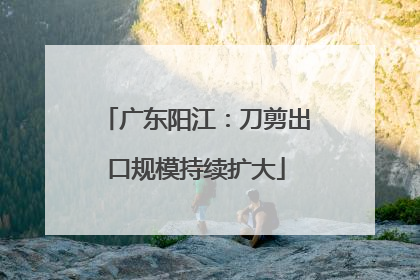 广东阳江：刀剪出口规模持续扩大