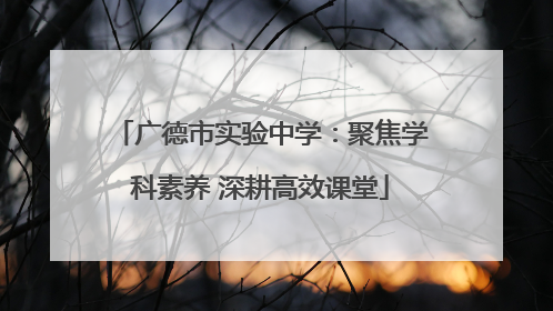 广德市实验中学：聚焦学科素养 深耕高效课堂