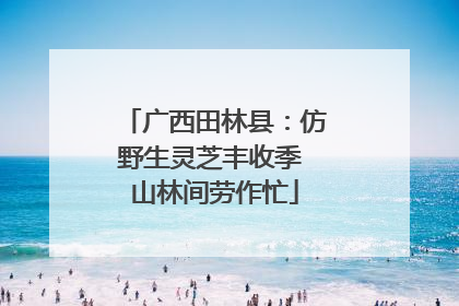 广西田林县：仿野生灵芝丰收季 山林间劳作忙