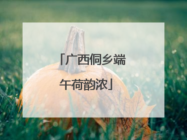 广西侗乡端午荷韵浓