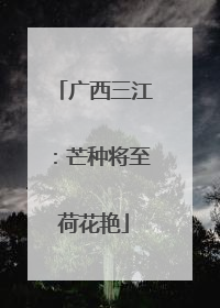 广西三江：芒种将至荷花艳