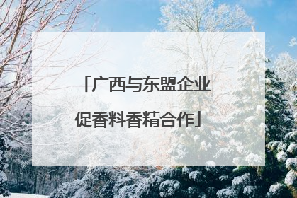广西与东盟企业促香料香精合作