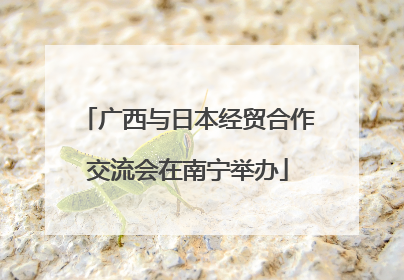 广西与日本经贸合作交流会在南宁举办