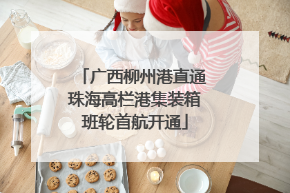 广西柳州港直通珠海高栏港集装箱班轮首航开通