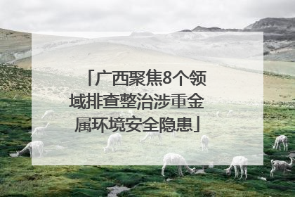 广西聚焦8个领域排查整治涉重金属环境安全隐患