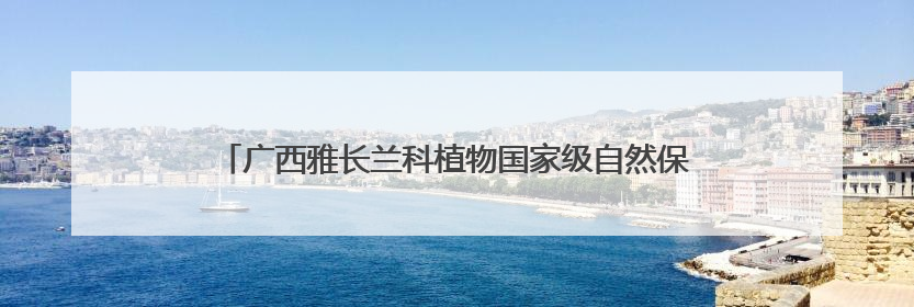 广西雅长兰科植物国家级自然保护区20载守望“秘境兰香”