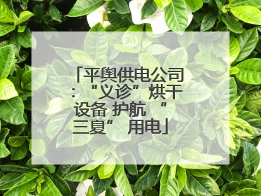 平舆供电公司：“义诊”烘干设备 护航 “三夏” 用电