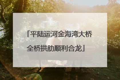 平陆运河金海湾大桥全桥拱肋顺利合龙
