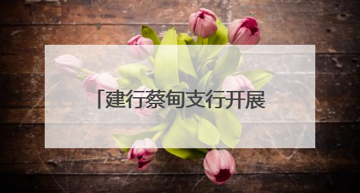 建行蔡甸支行开展防范非法金融暨普及金融知识系列活动