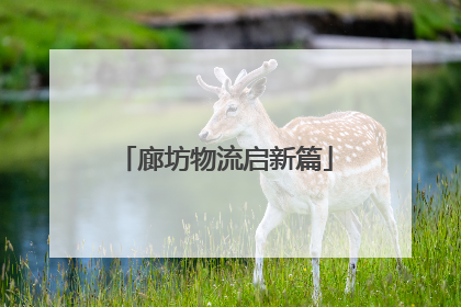 廊坊物流启新篇
