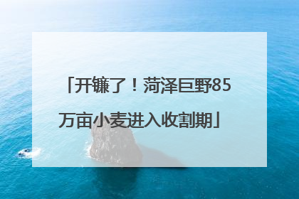 开镰了！菏泽巨野85万亩小麦进入收割期