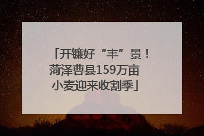 开镰好“丰”景！菏泽曹县159万亩小麦迎来收割季