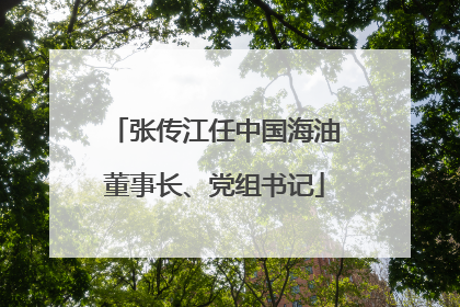 张传江任中国海油董事长、党组书记