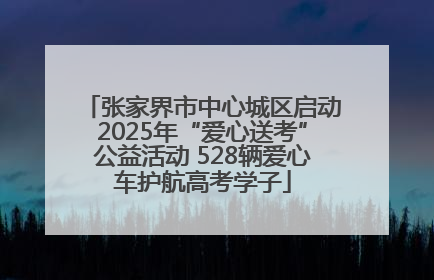 张家界市中心城区启动2025年“爱心送考”公益活动 528辆爱心车护航高考学子