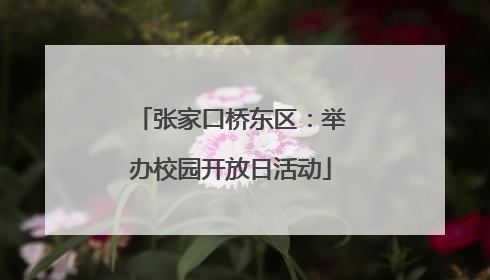 张家口桥东区：举办校园开放日活动