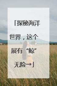 探秘海洋世界，这个展有“鲸”无险→