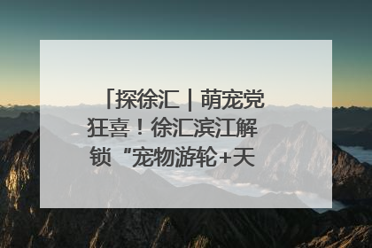探徐汇｜萌宠党狂喜！徐汇滨江解锁“宠物游轮+天台乐园”双玩法