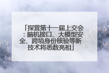 探营第十一届上交会：脑机接口、大模型安全、跨境身份核验等新技术将悉数亮相