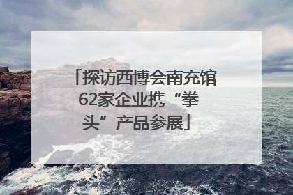 探访西博会南充馆 62家企业携“拳头”产品参展