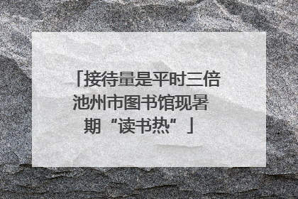 接待量是平时三倍 池州市图书馆现暑期“读书热”