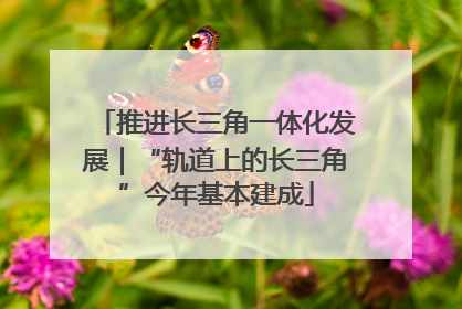 推进长三角一体化发展｜“轨道上的长三角”今年基本建成